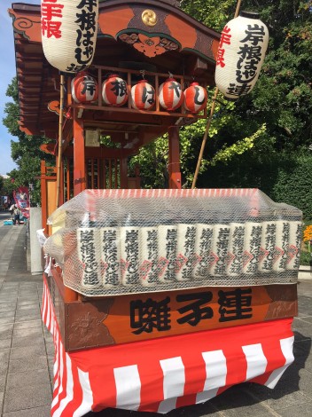 岸根ばやし